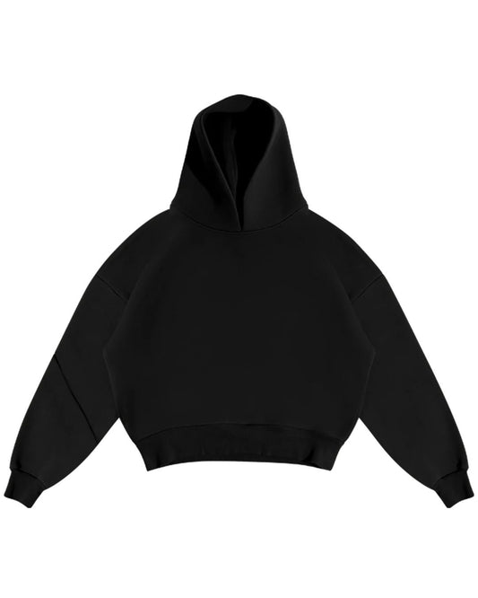 Basic Hoodies ( pre order )
